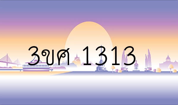 3ขศ 1313
